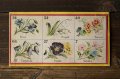 花のロト・ゲーム・カード
