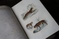 ビュフォン本　哺乳類　1839年