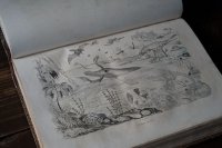 古書 自然史版画239点 Atlas d'Histoire Naturelle par Guerin 1835