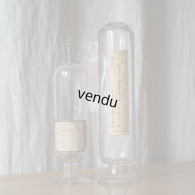 画像1:  ラベル付ガラス瓶2個セット 標本薬品タコ瓶