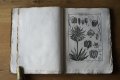 植物版画300枚 Encyclopédie méthodique. Botanique 1783-89年