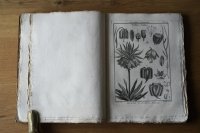 植物版画300枚 Encyclopédie méthodique. Botanique 1783-89年