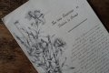 植物デッサンと手書き文字のある一葉 1912年