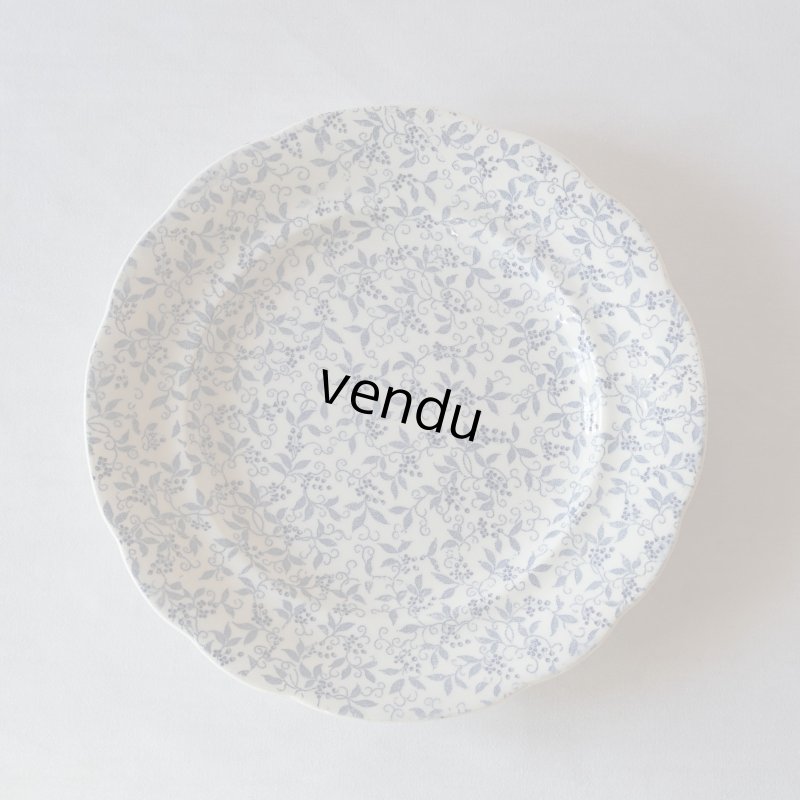 画像1: Choisy le Roi 植物総柄 花リム皿 φ21.2cm