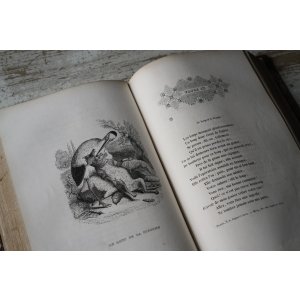 画像: グランヴィル挿絵 『ラ・フォンテーヌ寓話集』 I・II 1838年